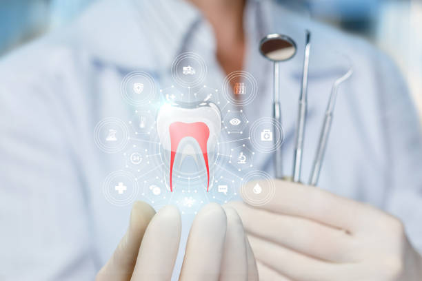 Professional Dental Services in Shelburne Falls, MA